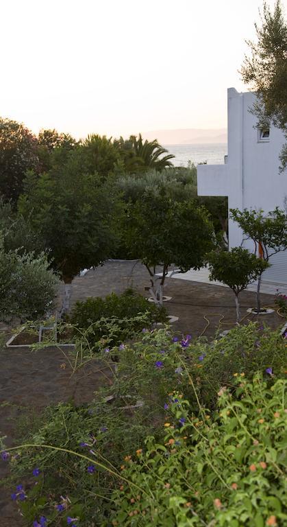 Creta Star Ξενοδοχείο με διαμερίσματα 2*